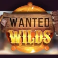 Wanted Wilds