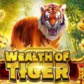 Wealth of Tiger