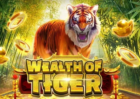 Wealth of Tiger