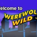 Werewolf Wild