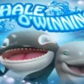 Whale O’ Winnings