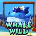 Whale Wild