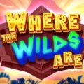 Where the Wilds Are