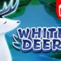 White Deer