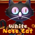 White Nose Cat