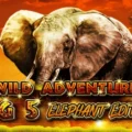 Wild Adventure Big 5 Elephant Edition