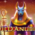 Wild Anubis