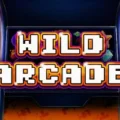 Wild Arcade