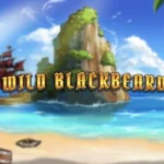 Wild Blackbeard