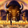 Wild Buffalo