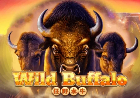 Wild Buffalo
