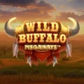 Wild Buffalo Megaways