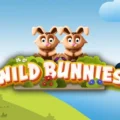 Wild Bunnies