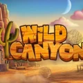 Wild Canyon