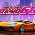 Wild Chase Tokyo Go