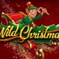 Wild Christmas
