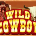 Wild Cowboy