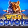 Wild Coyote