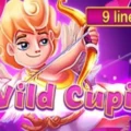 Wild Cupid