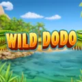 Wild Dodo