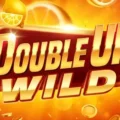 Wild Double Up