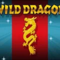 Wild Dragon