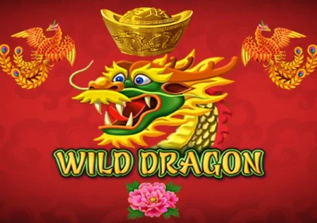 Wild Dragon