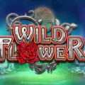Wild Flower