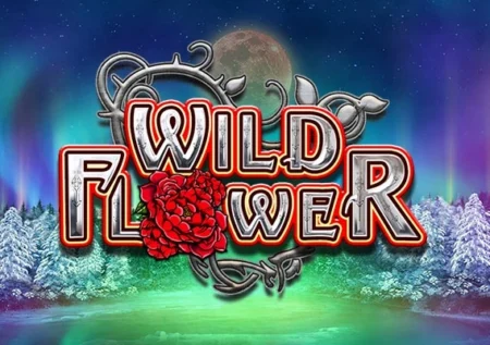 Wild Flower
