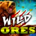 Wild Forest