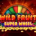 Wild Fruit Super Wheel