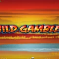 Wild Gambler