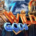 Wild Gods