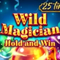 Wild Magician