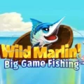 Wild Marlin! Big Game Fishing
