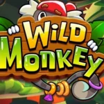 Wild Monkey