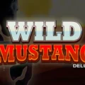 Wild Mustang