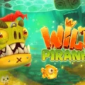 Wild Piranha