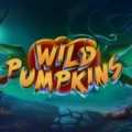 Wild Pumpkins