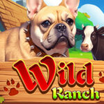 Wild Ranch