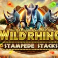 Wild Rhino Stampede Stacks
