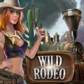 Wild Rodeo