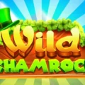 Wild Shamrock