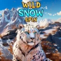 Wild Snow Spin