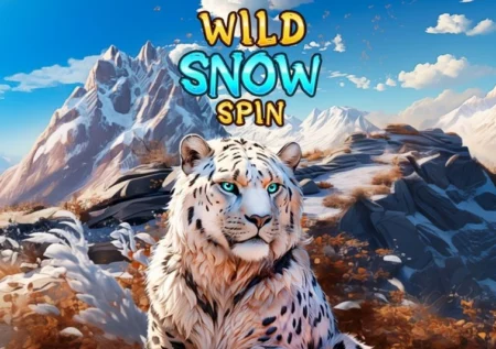 Wild Snow Spin
