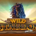 Wild Stallion Quattro