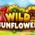 Wild Sunflower