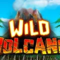 Wild Volcano