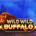 Wild Wild Buffalo