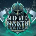 Wild Wild North
